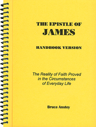 The Epistle of James: The Reality of Faith Proved in the Circumstances of Everyday Life by Stanley Bruce Anstey