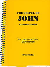 The Gospel of John by Stanley Bruce Anstey