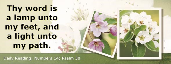 http://bibletruthpublishers.com/ComfortOfScriptures/wp-content/uploads/cos-hdg-2014-126.jpg