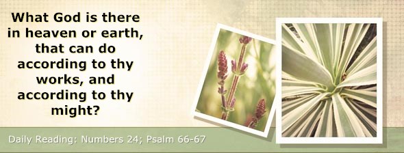 http://bibletruthpublishers.com/ComfortOfScriptures/wp-content/uploads/cos-hdg-2014-135.jpg