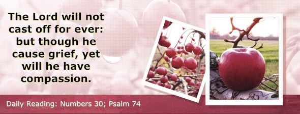 http://bibletruthpublishers.com/ComfortOfScriptures/wp-content/uploads/cos-hdg-2014-141.jpg