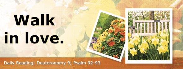 http://bibletruthpublishers.com/ComfortOfScriptures/wp-content/uploads/cos-hdg-2014-156.jpg
