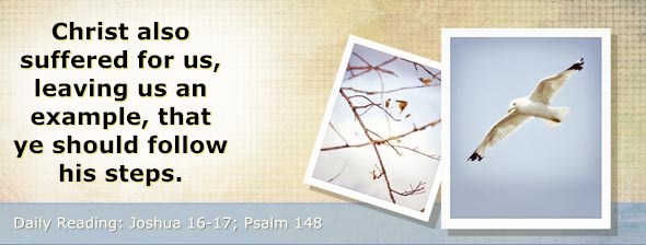 http://bibletruthpublishers.com/ComfortOfScriptures/wp-content/uploads/cos-hdg-2014-193.jpg