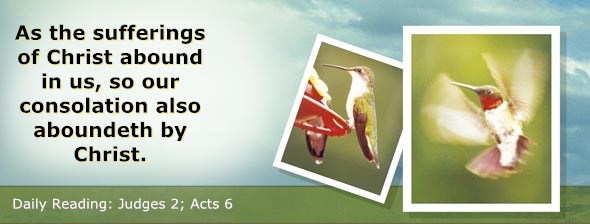 http://bibletruthpublishers.com/ComfortOfScriptures/wp-content/uploads/cos-hdg-2014-200.jpg