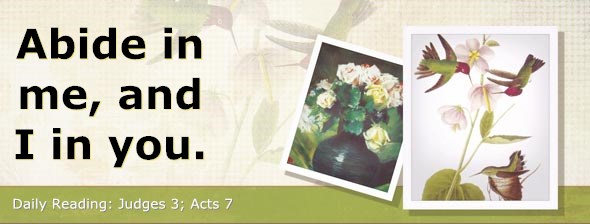 http://bibletruthpublishers.com/ComfortOfScriptures/wp-content/uploads/cos-hdg-2014-201.jpg