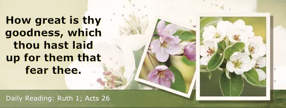 http://bibletruthpublishers.com/ComfortOfScriptures/wp-content/uploads/cos-hdg-2014-220.jpg