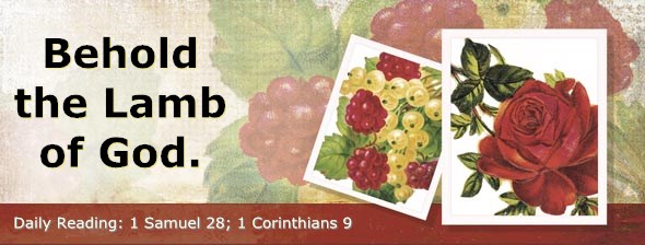 http://bibletruthpublishers.com/ComfortOfScriptures/wp-content/uploads/cos-hdg-2014-247.jpg