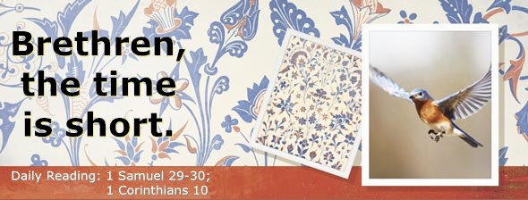 http://bibletruthpublishers.com/ComfortOfScriptures/wp-content/uploads/cos-hdg-2014-248.jpg