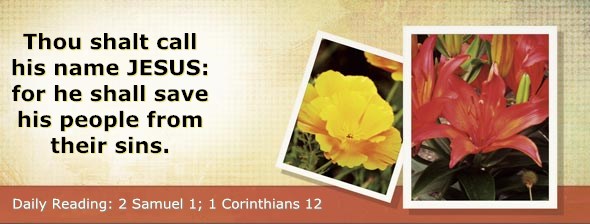 http://bibletruthpublishers.com/ComfortOfScriptures/wp-content/uploads/cos-hdg-2014-250.jpg