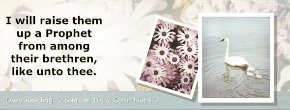 http://bibletruthpublishers.com/ComfortOfScriptures/wp-content/uploads/cos-hdg-2014-257.jpg