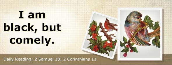 http://bibletruthpublishers.com/ComfortOfScriptures/wp-content/uploads/cos-hdg-2014-265.jpg