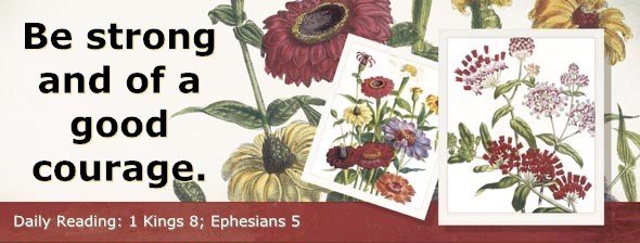 http://bibletruthpublishers.com/ComfortOfScriptures/wp-content/uploads/cos-hdg-2014-278.jpg