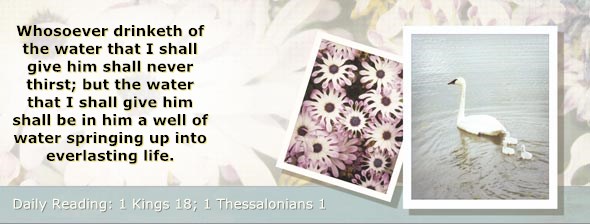 http://bibletruthpublishers.com/ComfortOfScriptures/wp-content/uploads/cos-hdg-2014-288.jpg
