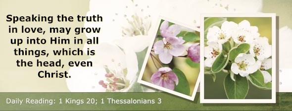 http://bibletruthpublishers.com/ComfortOfScriptures/wp-content/uploads/cos-hdg-2014-290.jpg