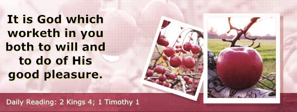 http://bibletruthpublishers.com/ComfortOfScriptures/wp-content/uploads/cos-hdg-2014-296.jpg