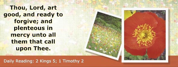 http://bibletruthpublishers.com/ComfortOfScriptures/wp-content/uploads/cos-hdg-2014-297.jpg