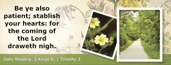 http://bibletruthpublishers.com/ComfortOfScriptures/wp-content/uploads/cos-hdg-2014-298.jpg