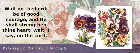 http://bibletruthpublishers.com/ComfortOfScriptures/wp-content/uploads/cos-hdg-2014-300.jpg