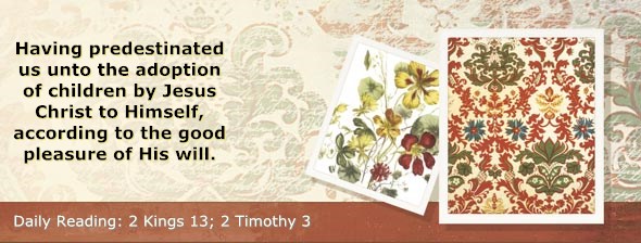 http://bibletruthpublishers.com/ComfortOfScriptures/wp-content/uploads/cos-hdg-2014-304.jpg