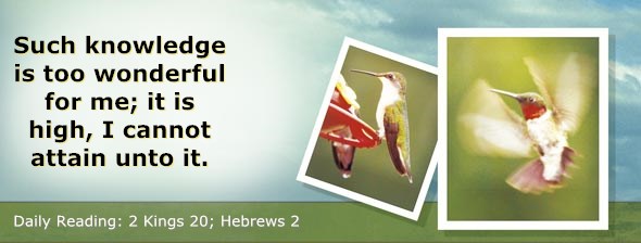 http://bibletruthpublishers.com/ComfortOfScriptures/wp-content/uploads/cos-hdg-2014-311.jpg