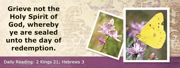 http://bibletruthpublishers.com/ComfortOfScriptures/wp-content/uploads/cos-hdg-2014-312.jpg