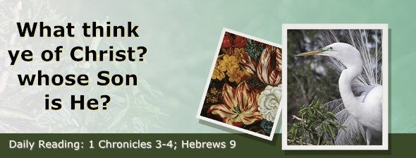 http://bibletruthpublishers.com/ComfortOfScriptures/wp-content/uploads/cos-hdg-2014-318.jpg