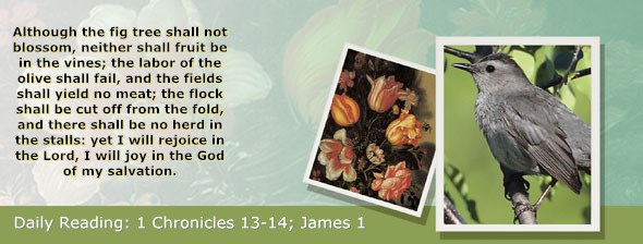 http://bibletruthpublishers.com/ComfortOfScriptures/wp-content/uploads/cos-hdg-2014-323.jpg