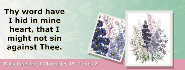 http://bibletruthpublishers.com/ComfortOfScriptures/wp-content/uploads/cos-hdg-2014-324.jpg