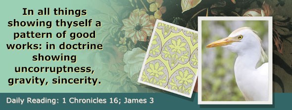 http://bibletruthpublishers.com/ComfortOfScriptures/wp-content/uploads/cos-hdg-2014-325.jpg
