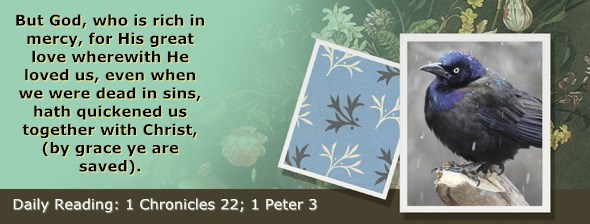 http://bibletruthpublishers.com/ComfortOfScriptures/wp-content/uploads/cos-hdg-2014-330.jpg