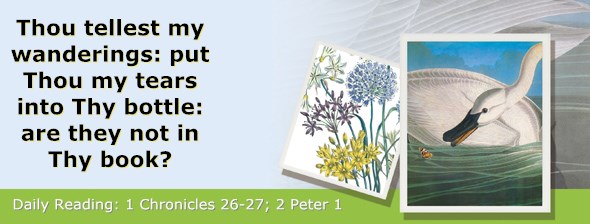 http://bibletruthpublishers.com/ComfortOfScriptures/wp-content/uploads/cos-hdg-2014-333.jpg