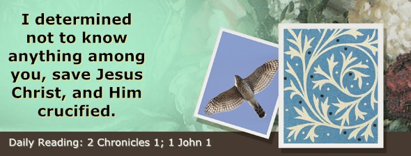 http://bibletruthpublishers.com/ComfortOfScriptures/wp-content/uploads/cos-hdg-2014-336.jpg