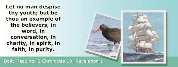 http://bibletruthpublishers.com/ComfortOfScriptures/wp-content/uploads/cos-hdg-2014-344.jpg