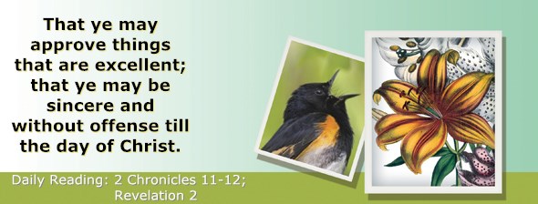 http://bibletruthpublishers.com/ComfortOfScriptures/wp-content/uploads/cos-hdg-2014-345.jpg