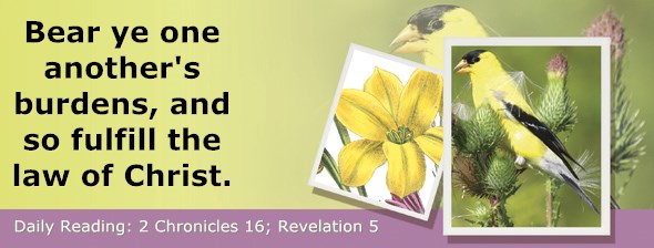 http://bibletruthpublishers.com/ComfortOfScriptures/wp-content/uploads/cos-hdg-2014-348.jpg