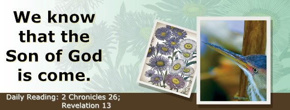 http://bibletruthpublishers.com/ComfortOfScriptures/wp-content/uploads/cos-hdg-2014-356.jpg
