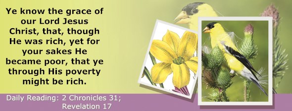 http://bibletruthpublishers.com/ComfortOfScriptures/wp-content/uploads/cos-hdg-2014-360.jpg