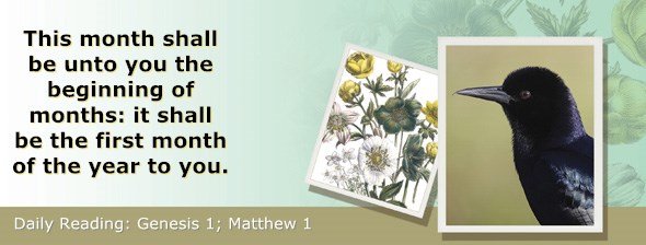http://bibletruthpublishers.com/ComfortOfScriptures/wp-content/uploads/cos-hdg-2015-001.jpg