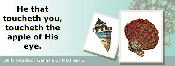 http://bibletruthpublishers.com/ComfortOfScriptures/wp-content/uploads/cos-hdg-2015-002.jpg