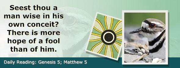 http://bibletruthpublishers.com/ComfortOfScriptures/wp-content/uploads/cos-hdg-2015-005.jpg