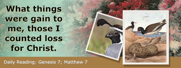 http://bibletruthpublishers.com/ComfortOfScriptures/wp-content/uploads/cos-hdg-2015-007.jpg