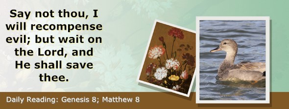 http://bibletruthpublishers.com/ComfortOfScriptures/wp-content/uploads/cos-hdg-2015-008.jpg