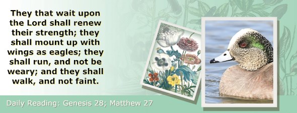 http://bibletruthpublishers.com/ComfortOfScriptures/wp-content/uploads/cos-hdg-2015-027.jpg