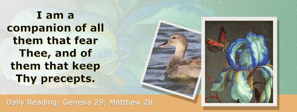 http://bibletruthpublishers.com/ComfortOfScriptures/wp-content/uploads/cos-hdg-2015-028.jpg