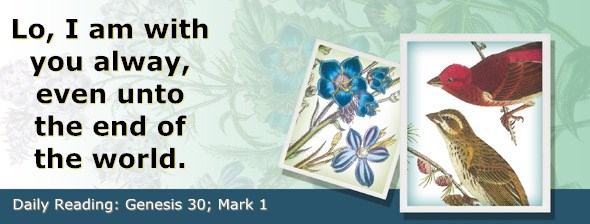http://bibletruthpublishers.com/ComfortOfScriptures/wp-content/uploads/cos-hdg-2015-029.jpg