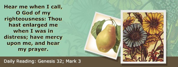 http://bibletruthpublishers.com/ComfortOfScriptures/wp-content/uploads/cos-hdg-2015-031.jpg