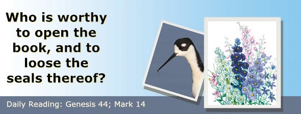 http://bibletruthpublishers.com/ComfortOfScriptures/wp-content/uploads/cos-hdg-2015-042.jpg