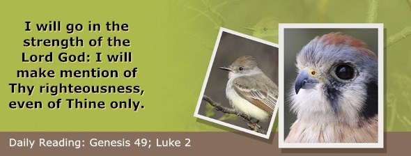 http://bibletruthpublishers.com/ComfortOfScriptures/wp-content/uploads/cos-hdg-2015-047.jpg