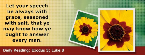 http://bibletruthpublishers.com/ComfortOfScriptures/wp-content/uploads/cos-hdg-2015-053.jpg