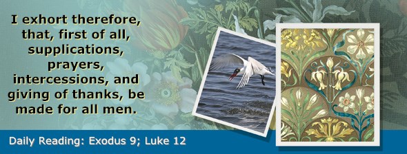 http://bibletruthpublishers.com/ComfortOfScriptures/wp-content/uploads/cos-hdg-2015-057.jpg